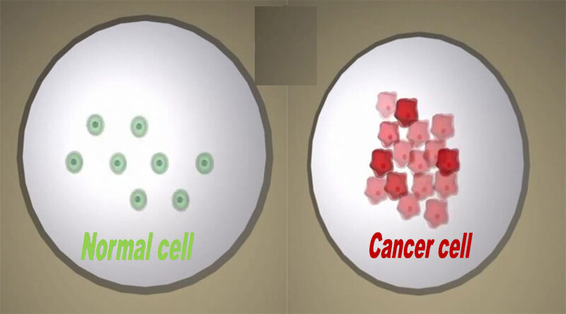 Difference between normal cell and cancer cell