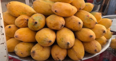 health benefits of eating mango